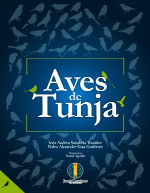 Aves de Tunja